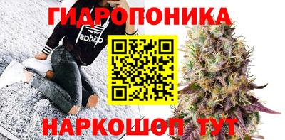 метадон Кимры