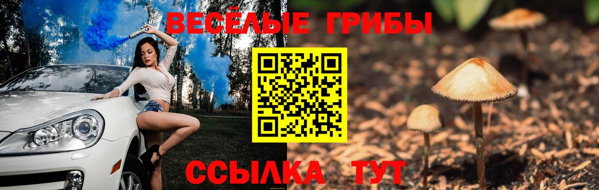 Псилоцибиновые грибы MAGIC MUSHROOMS  Вход с VPN  Псилоцибиновые грибы Magic Shrooms  Красный Сулин 